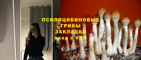 шишки Балабаново