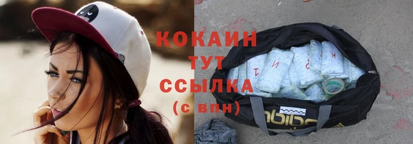 шишки Балабаново