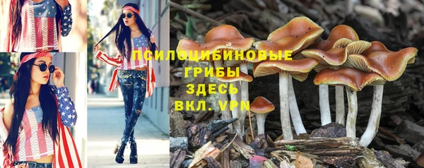 COCAINE Баксан