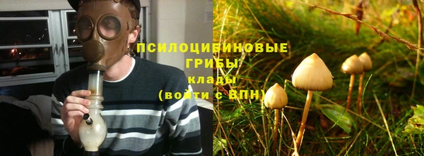 шишки Балабаново