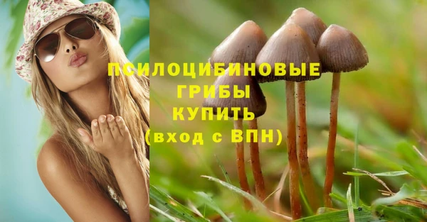 шишки Балабаново