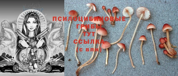COCAINE Баксан